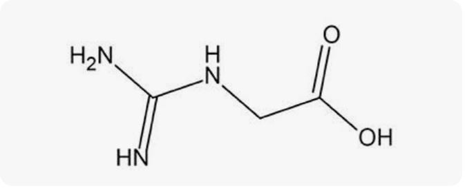 Guanidinoacetic acid supplier in oman