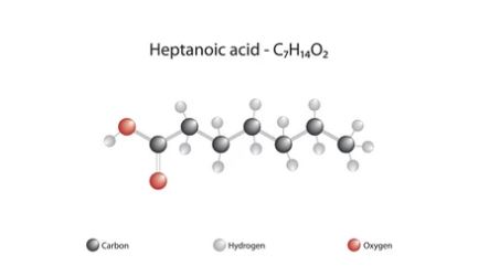 Heptanoic acid supplier in oman