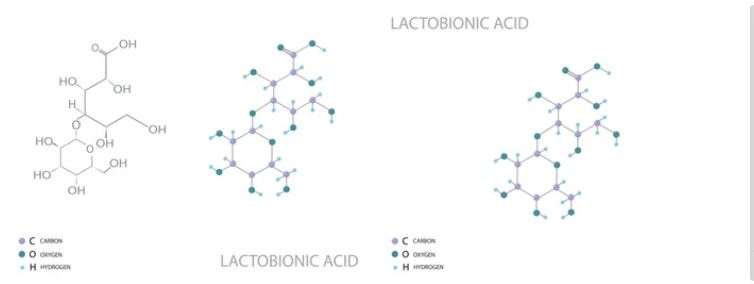Lactobionic acid supplier in oman