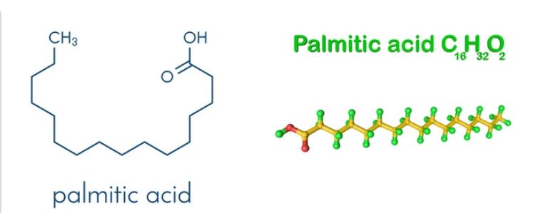 Palmitic acid supplier in oman