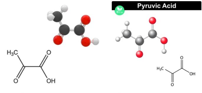 Pyruvic acid supplier in oman