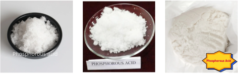 phosphorous acid