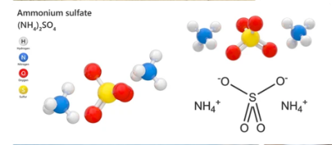  Ammonium sulfate