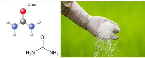 urea supplier in oman