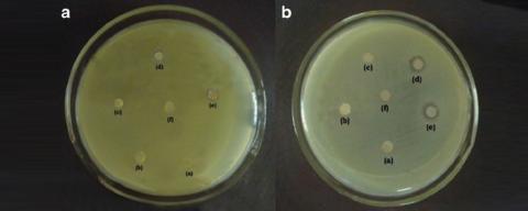 Biocide Antimicrobial Dealers