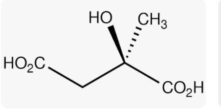 Citramalic acid supplier in oman