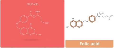 Pteroylglutamic Acid Vanguard in Oman