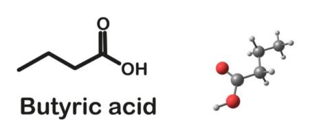 Butyric acid supplier in oman