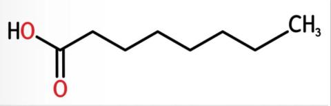 Caprylic acid supplier in oman