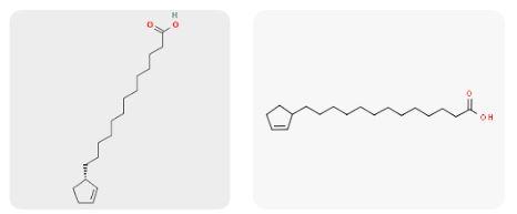 Chaulmoogric acid supplier in oman