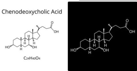 Chenodeoxycholic acid supplier in omna