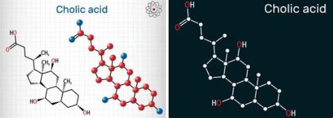 Cholic acid supplier in oman