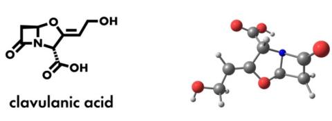 Clavulanic acid supplier in oman