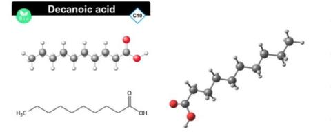 Decanoic acid supplier in oman