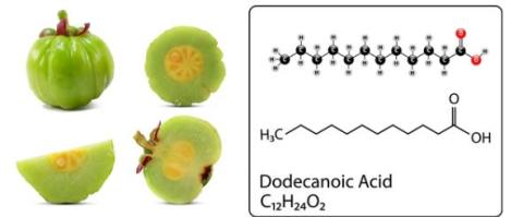 Dodecanoic acid supplier 