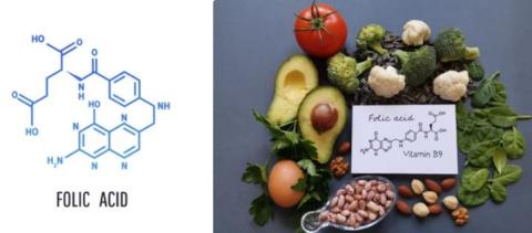 Folic acid supplier in oman