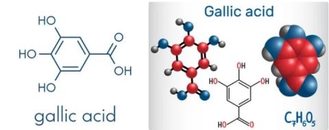 Gallic acid