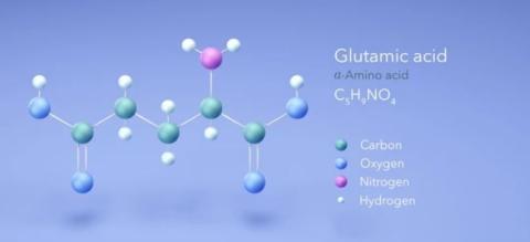 Glutamic acid supplier in oman