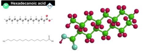 Hexadecanoic acid supplier in oman