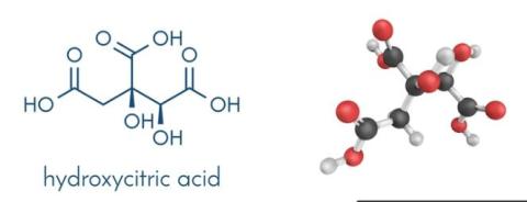 Hydroxycitric acid supplier in oman