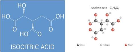 Isocitric acid supplier in oman