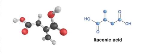 Itaconic acid supplier in oman