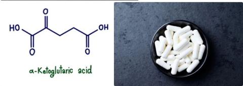 Ketoglutaric acid supplier in oman