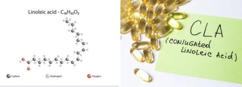 Linoleic acid