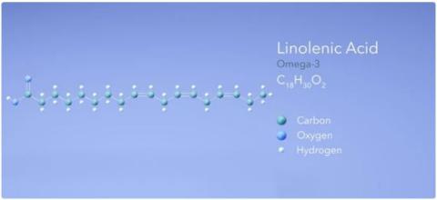 Linolenic acid