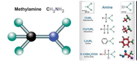 Methylamine supplier in oman