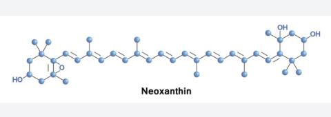 Neoxanthin